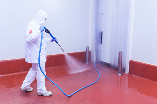 Best Playground Equipment Cleaning  in Broadview, IL